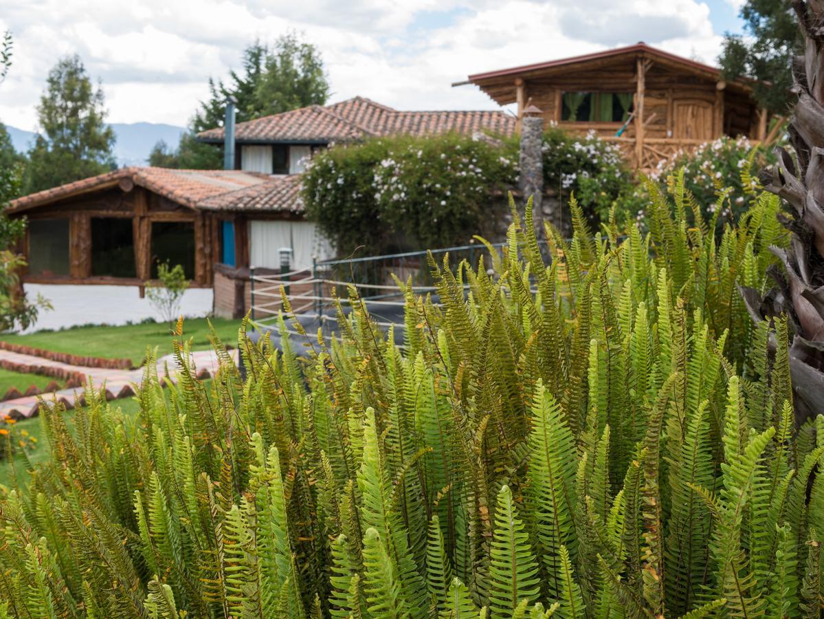 Zaysant Ecolodge Puembo Extérieur photo
